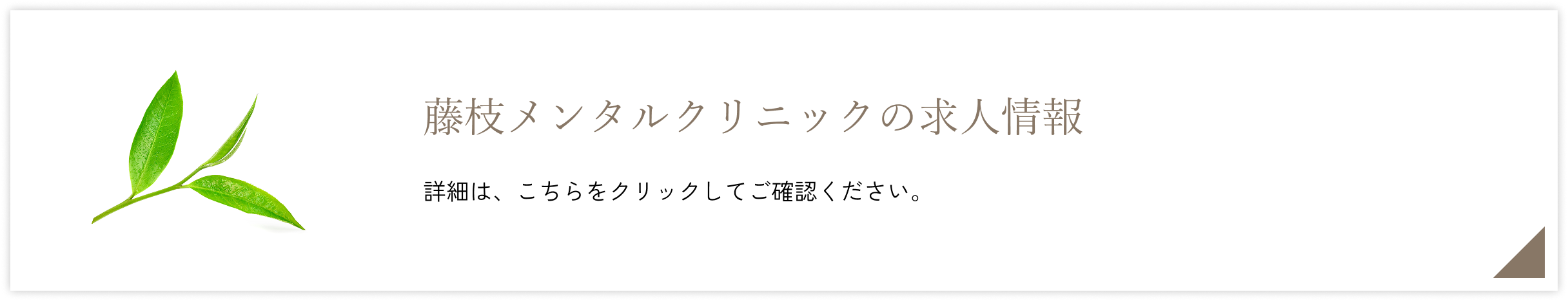 藤枝クリニックの求人情報　詳しくはこちら